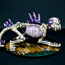 Picture of print of Big Cat Skeleton and Crow Rider2