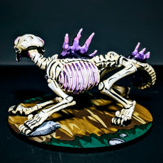 Picture of print of Big Cat Skeleton and Crow Rider2