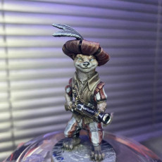 Picture of print of Weasel Witch Hunter Hand Mortar2 Hat