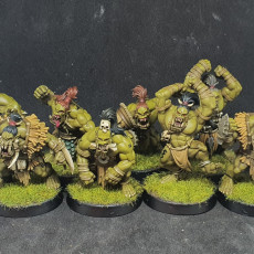 Picture of print of SAVAGE ORCS Part 1