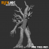 Pine Tree-Man image