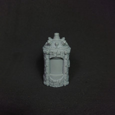 Picture of print of Mutation Chamber (Pre-supported & Hollowed)