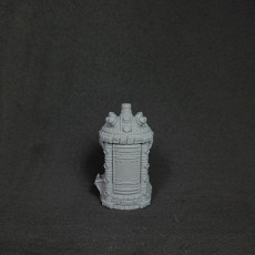 Picture of print of Mutation Chamber (Pre-supported & Hollowed)
