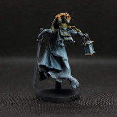 Picture of print of Tholmar (wraithlord) - 32mm - DnD