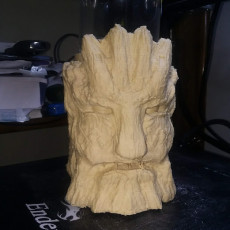 Picture of print of MU05 Treant Mug :: Possibly Cool Dice Tower 2