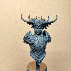 Picture of print of Tarniel wood elf king bust pre-supported