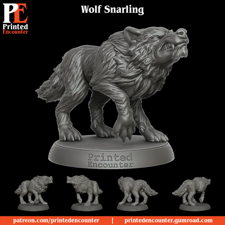 Wolf Snarling 1