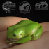 Frogs, Volume 1: Multipack image
