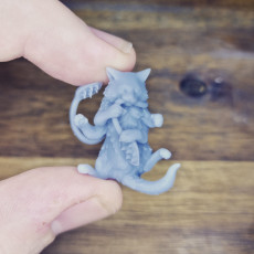 Picture of print of Baby Displacer