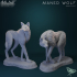 Maned Wolf image