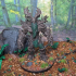 Elder Treant / Forest Spirit / Tree Creature / Woodland Guardian print image