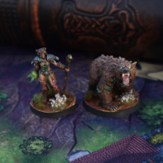 Picture of print of Defenders Of The Glade - Anadyia Bearrage