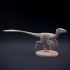 Velociraptor feathered image