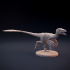 Velociraptor feathered image