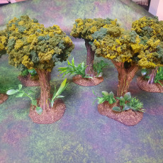 Picture of print of Jungle Trees [SUPPORT-FREE]