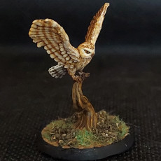 Picture of print of Spartancast owl 3