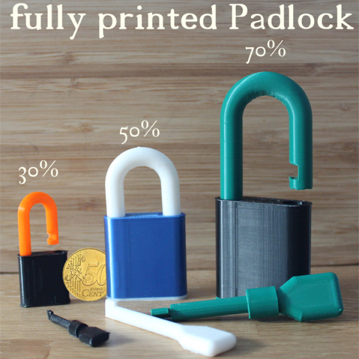 simple Padlock (100% printed)