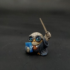 Picture of print of Young Owlkin Wizard Miniature - Pre-Supported