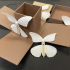Butterfly Box image