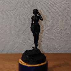 Picture of print of Space elf anime figurine 3d print model (January 2022)