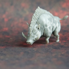 Picture of print of Giant Boar - Tabletop Miniature (Pre-Supported)