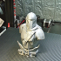 Mandalorian Bust - Star Wars 3D Models - Support Free and No infill Remix image
