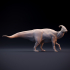 Parasaurolophus walkeri image