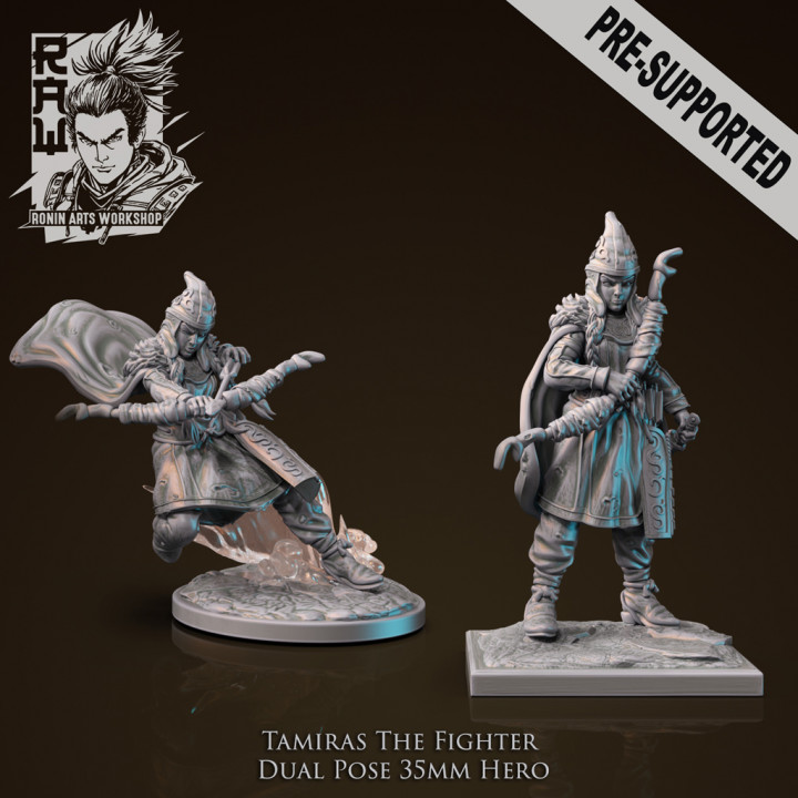 $6.99Tamiras The Fighter - Idle and Action Pose Lion Rider