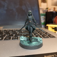Picture of print of Katri the rogue