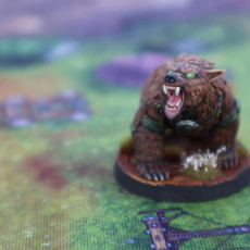 Picture of print of WP - Defenders Of The Glade - Bear Form Pose 1