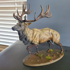 Picture of print of Elk