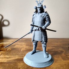 Picture of print of Samurai Figure (Pre-Supported)