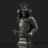 Samurai Bust (Pre-Supported) image
