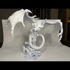 Picture of print of White Dragon (Pre-Supported)