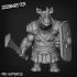 Rhino Warrior 1h Club 3 image