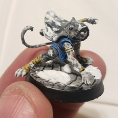 Picture of print of Tabaxi Assassin B
