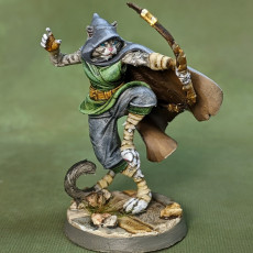 Picture of print of Tabaxi Assassins C