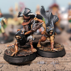 Picture of print of Tabaxi Assassins Set