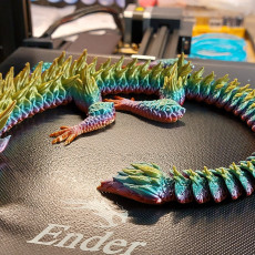Picture of print of Flexy Furry Dragon-Articulated-Print in place
