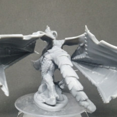 Picture of print of Wraithwing