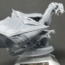 Picture of print of Wraithwing