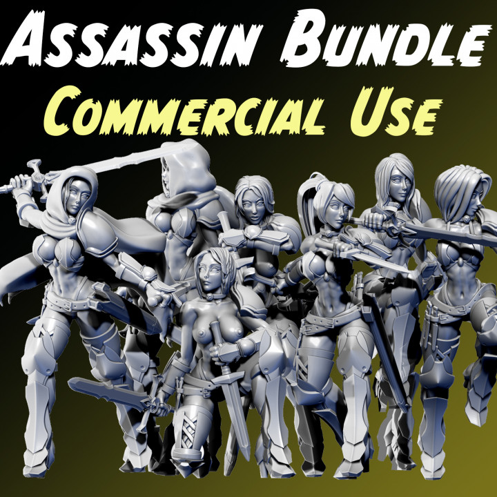 $40.00Anissa - Assassins - Commercial Use