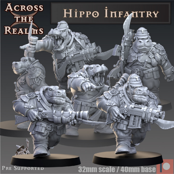 Hippo Infantry's Cover
