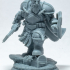Dwarf Warrior print image