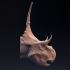 Diabloceratops head image