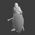 Medieval knight with cape image