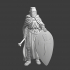 Medieval knight with cape image