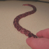 Slithery Snake image