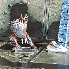 Picture of print of Barbarian Arcade Lord