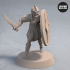 Soldiers of Nemis with Sword and Shield – Pose 3 image